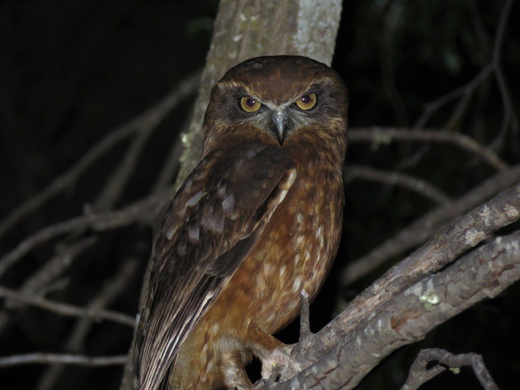 Boyagin Nature Reserve