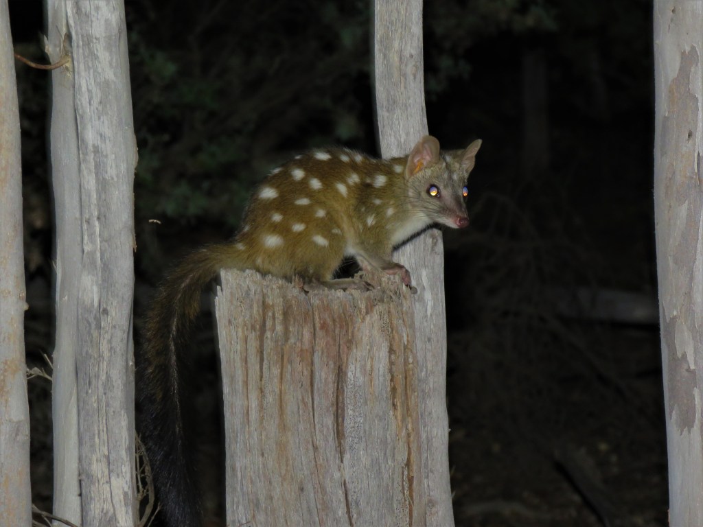 Boyagin Nature Reserve