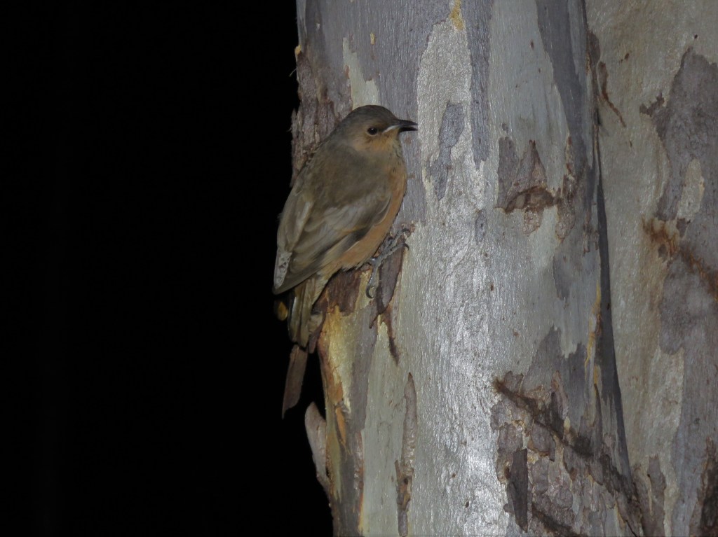 Boyagin Nature Reserve