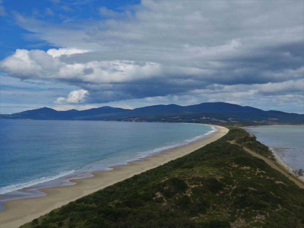 Quolls and other Wildlife of Tasmania