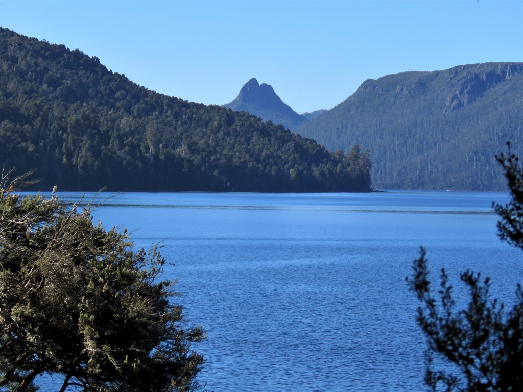 Quolls and other Wildlife of Tasmania