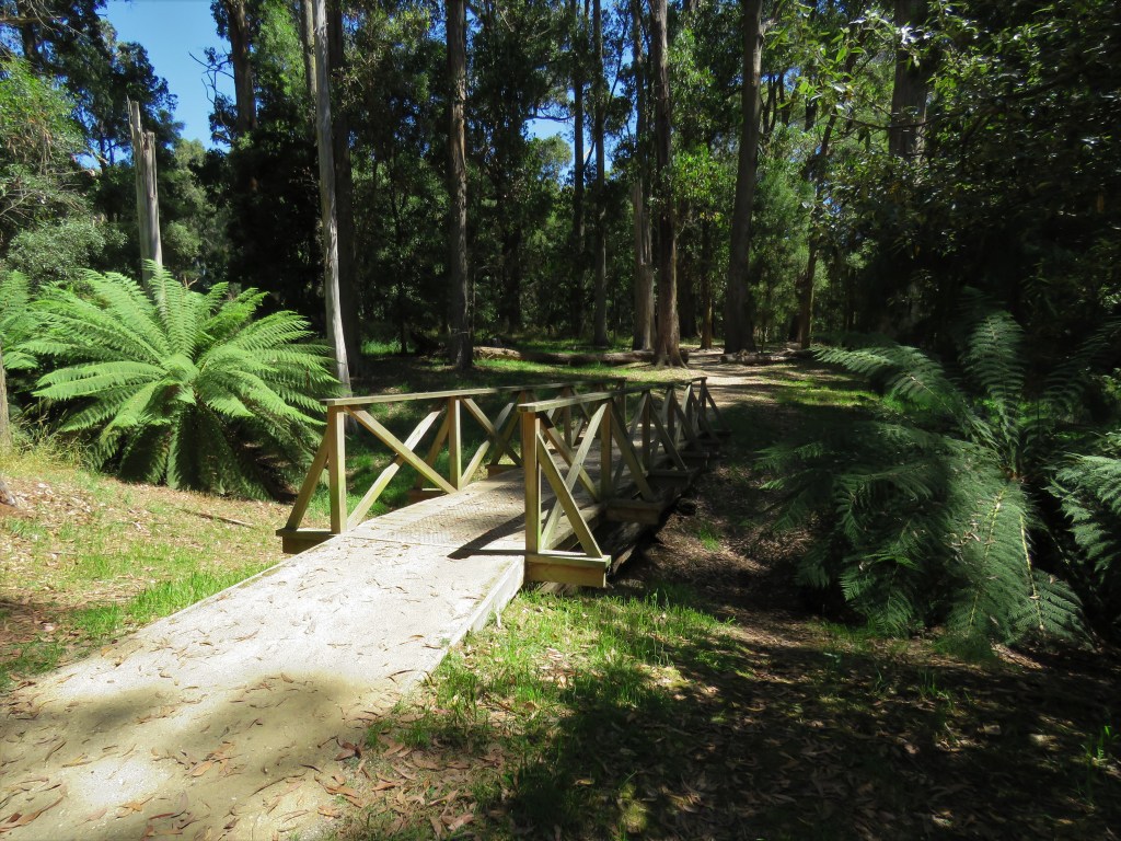 Quolls and other Wildlife of Tasmania