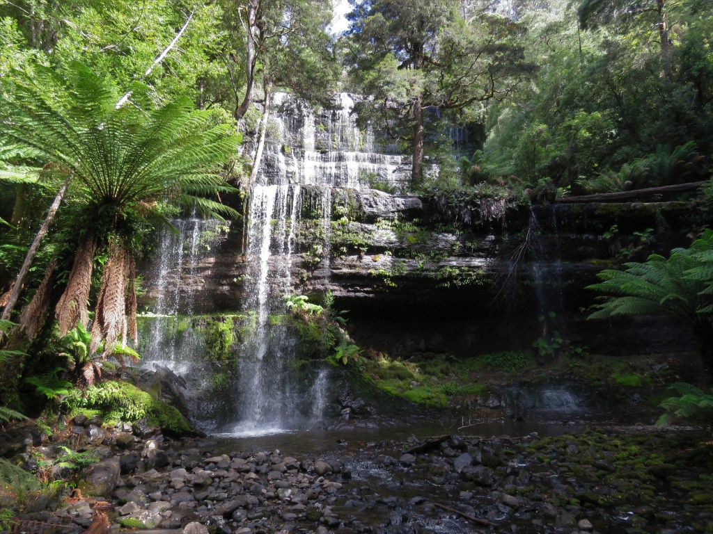 Quolls and other Wildlife of Tasmania