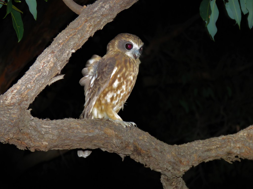 Tutanning Nature Reserve