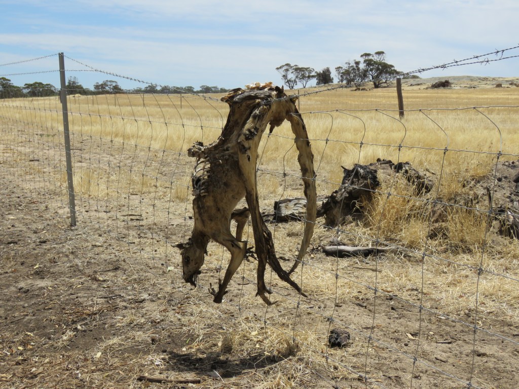 Tutanning Nature Reserve