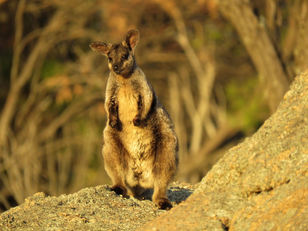 Tutanning Nature Reserve