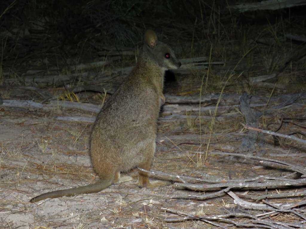 Tutanning Nature Reserve