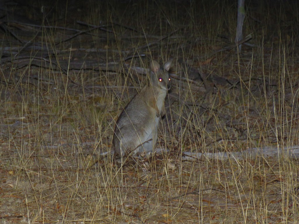 Tutanning Nature Reserve