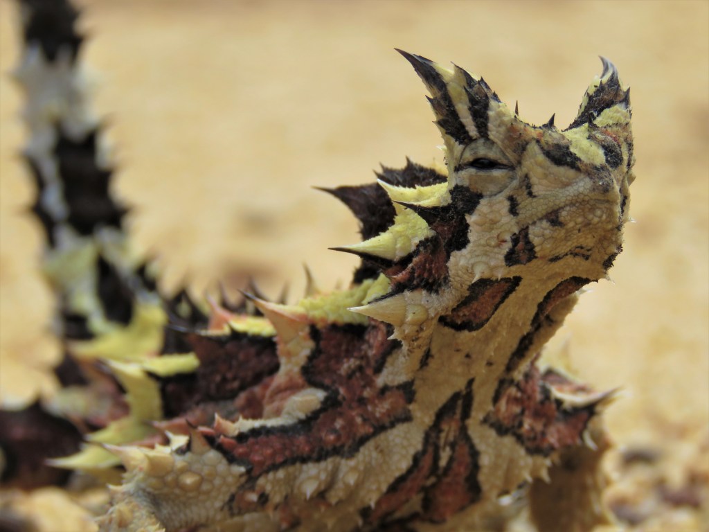 Tutanning Nature Reserve