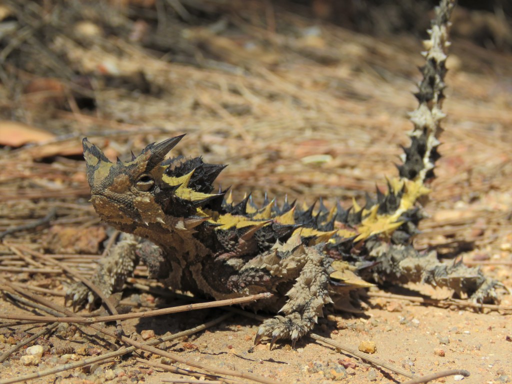 Tutanning Nature Reserve