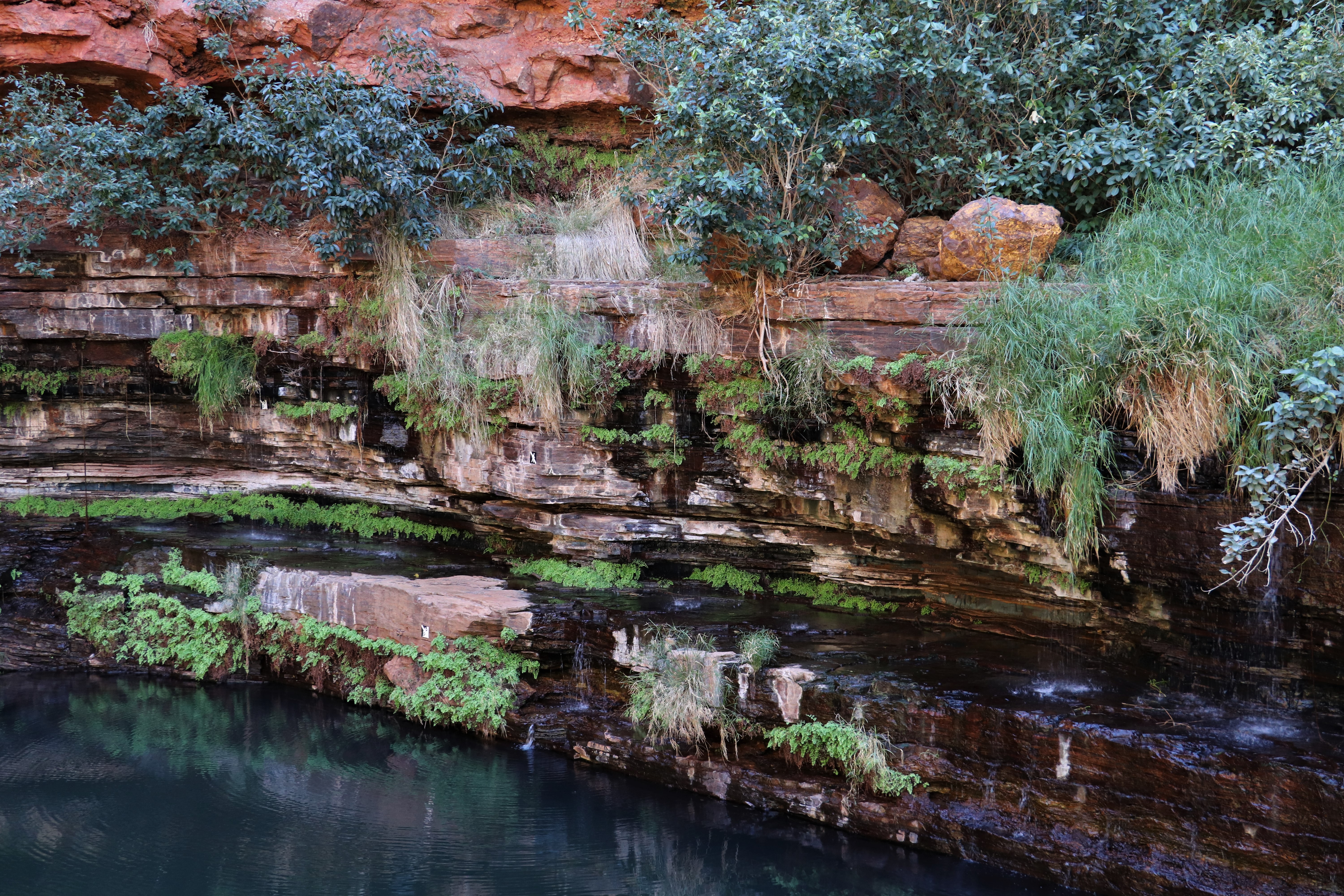 Karijini National Park and the Shark Bay Region. – Quolling Around