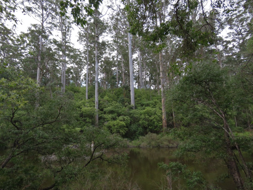 Bibbulmun Track