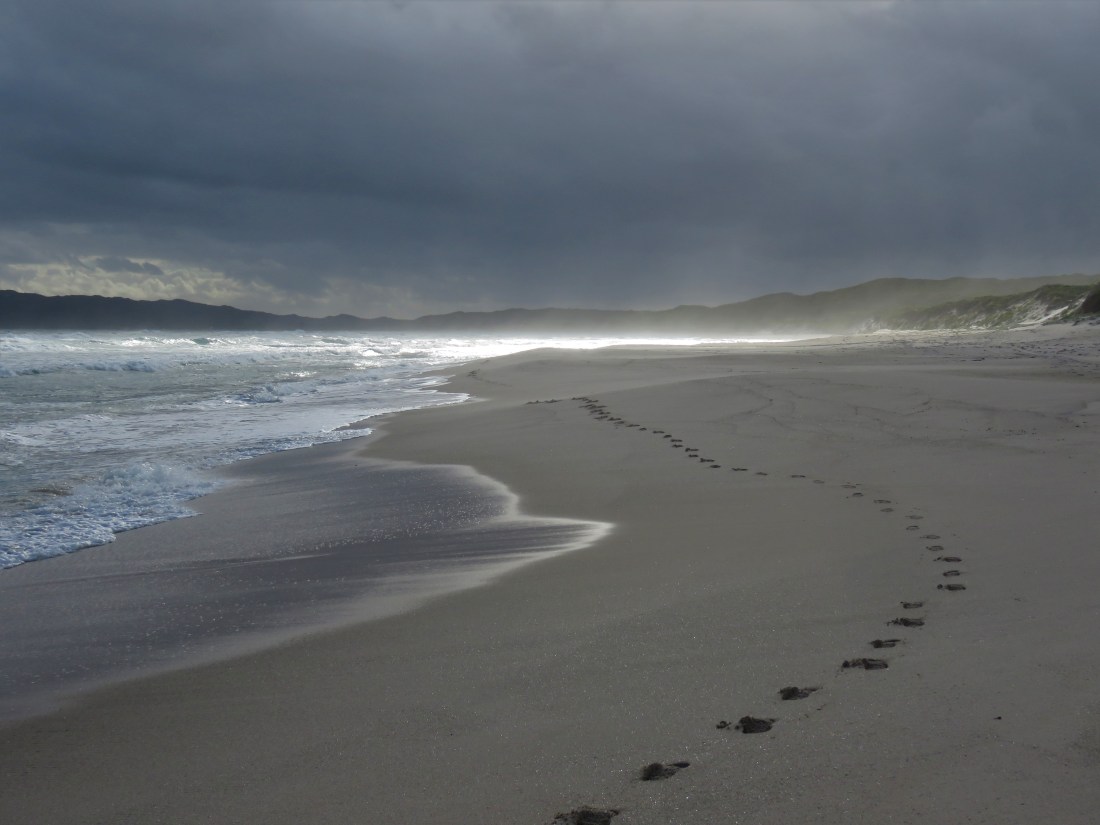 Bibbulmun Track - Footprints in the sand