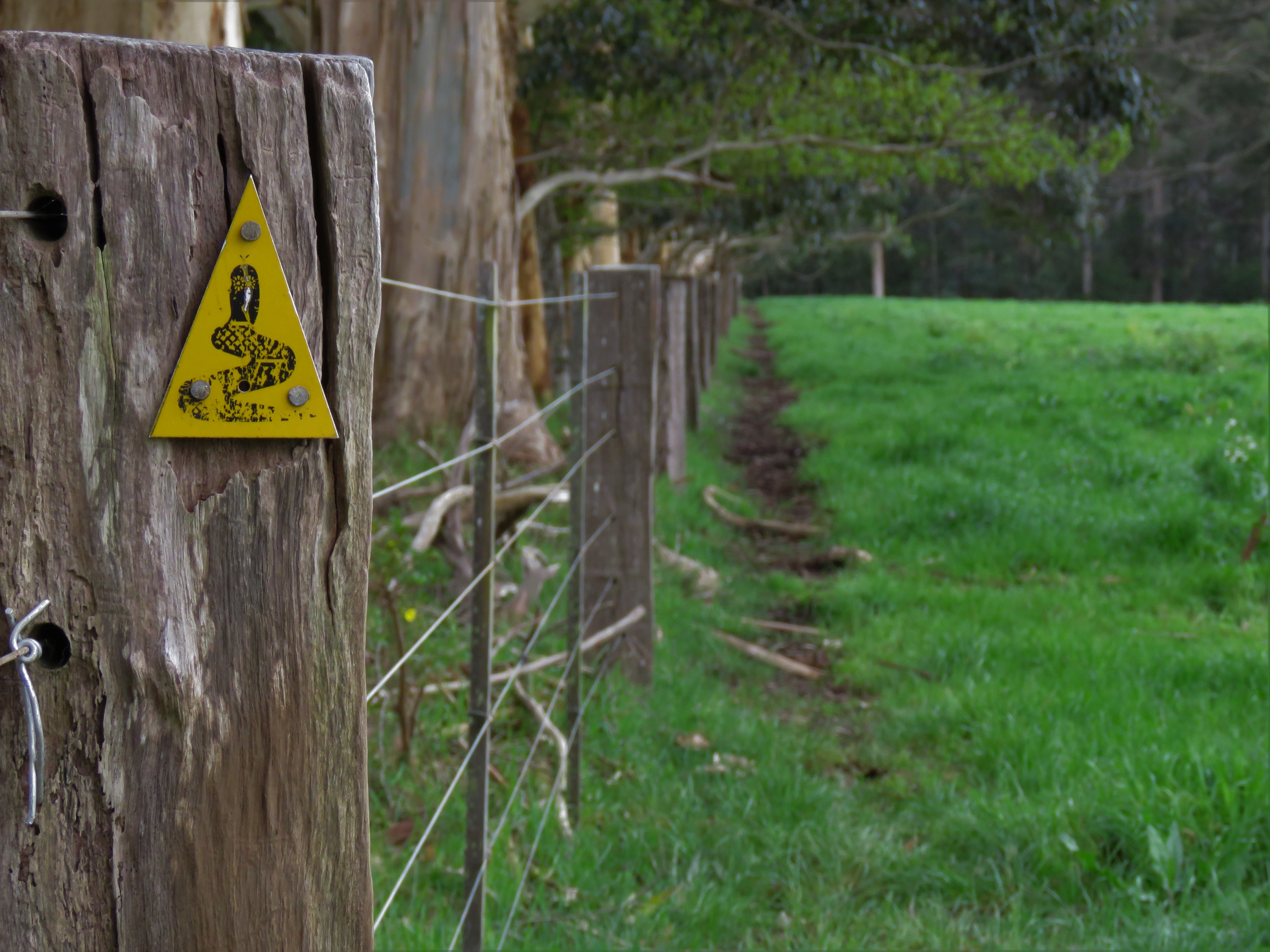 Bibbulmun Track - Trail Marker - Fields