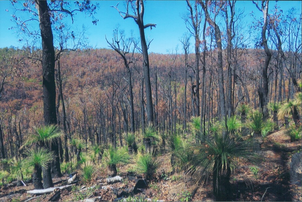 Bibbulmun Track
