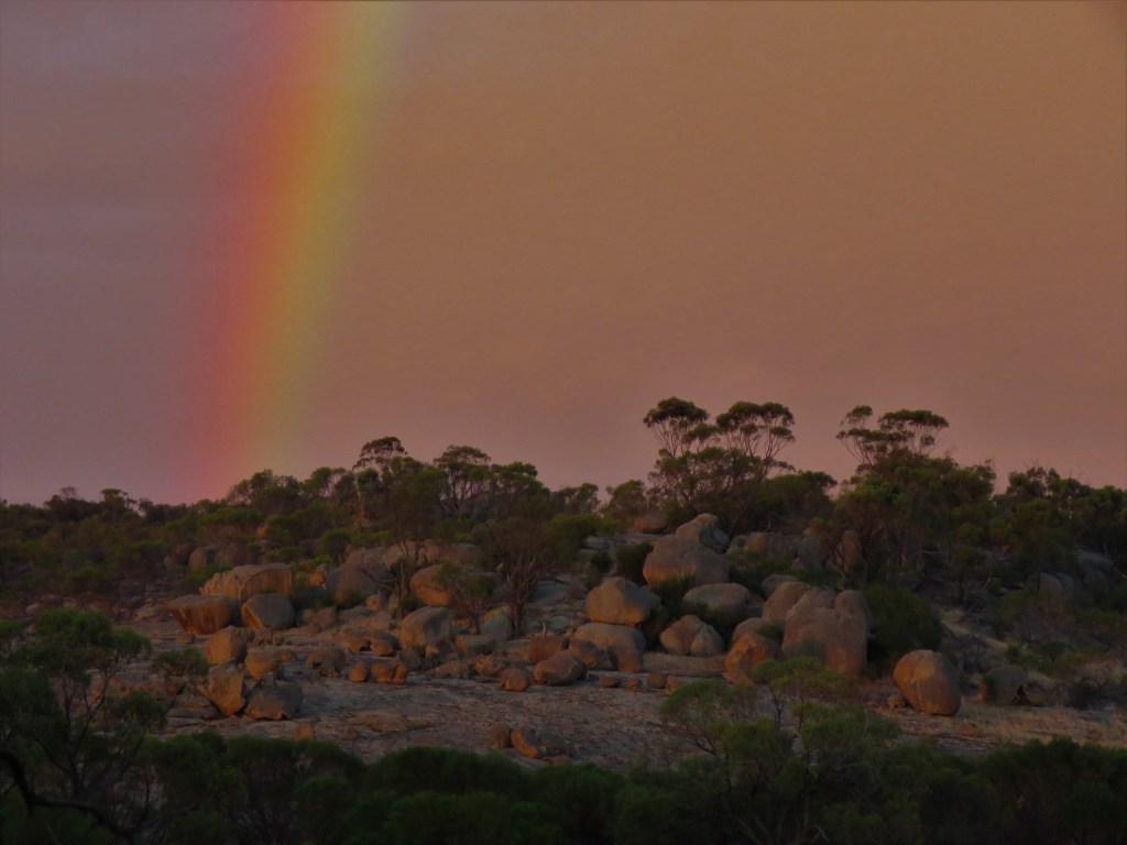 Rainbow at Mt Caroline Nature Reserve