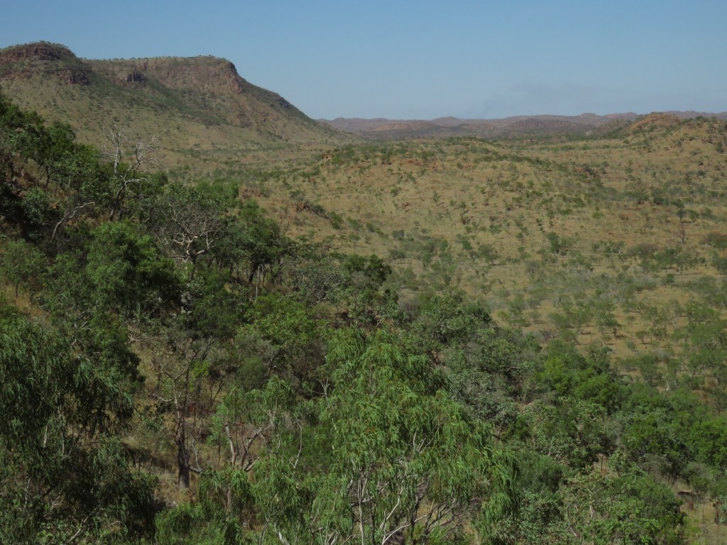 KImberley Wildlife