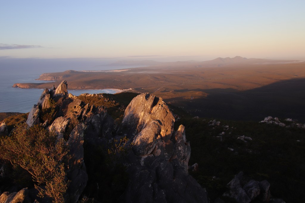 Honey Possums and Banksias