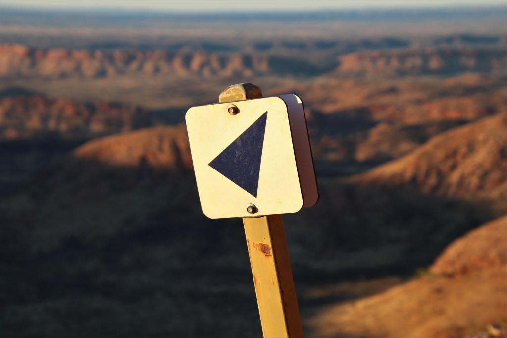 Wildlife Larapinta Trail