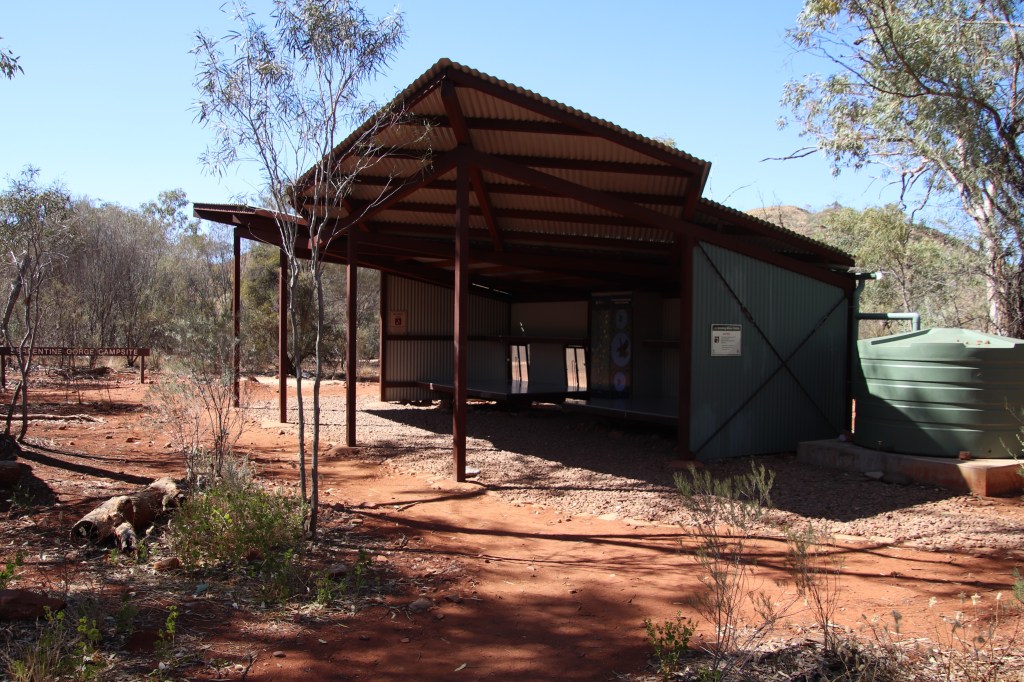 Wildlife Larapinta Trail