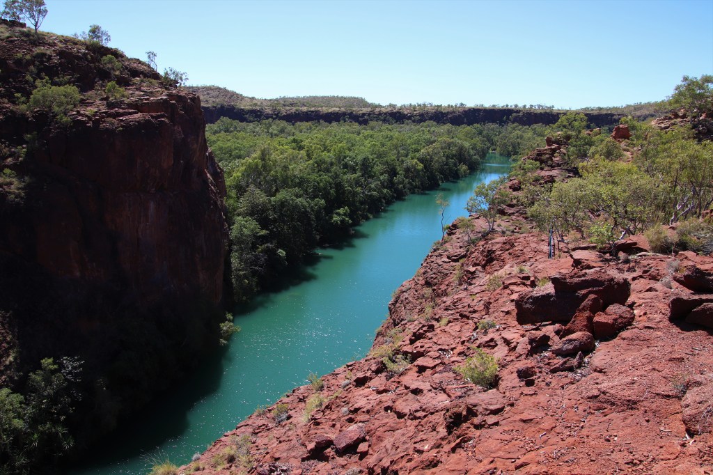 Wildlife in Outback Queensland