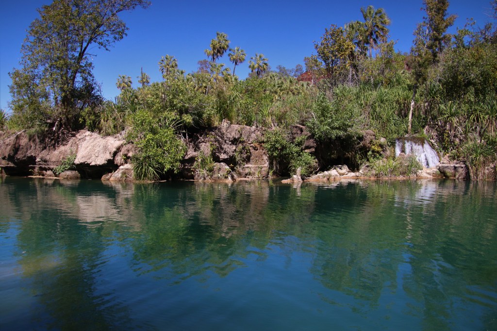 Wildlife in Outback Queensland