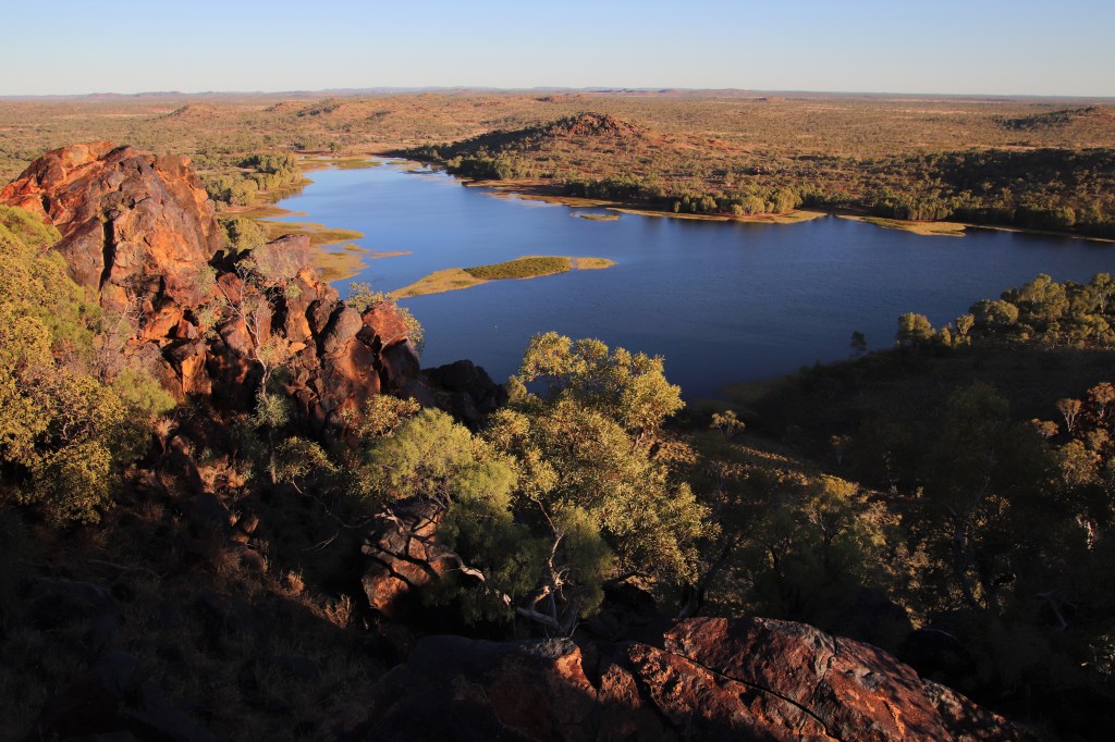 Wildlife in Outback Queensland