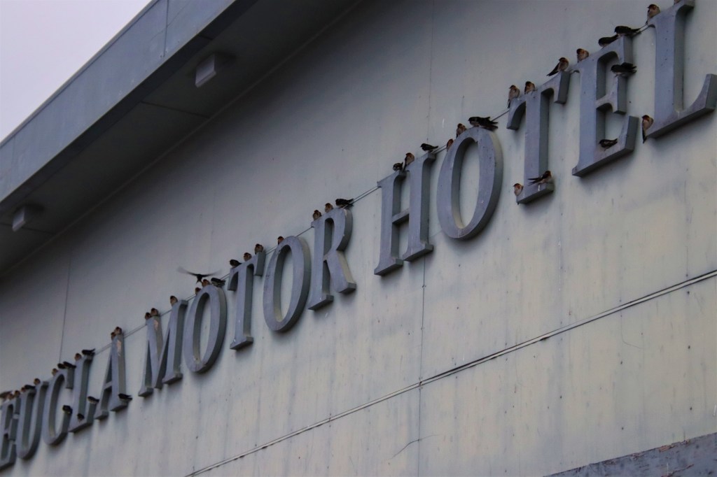 Crossing the Nullarbor