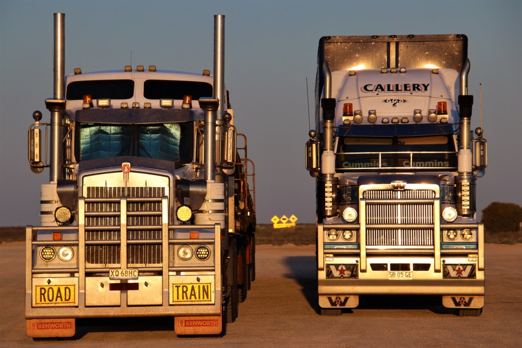 Southern Hairy nosed Wombat