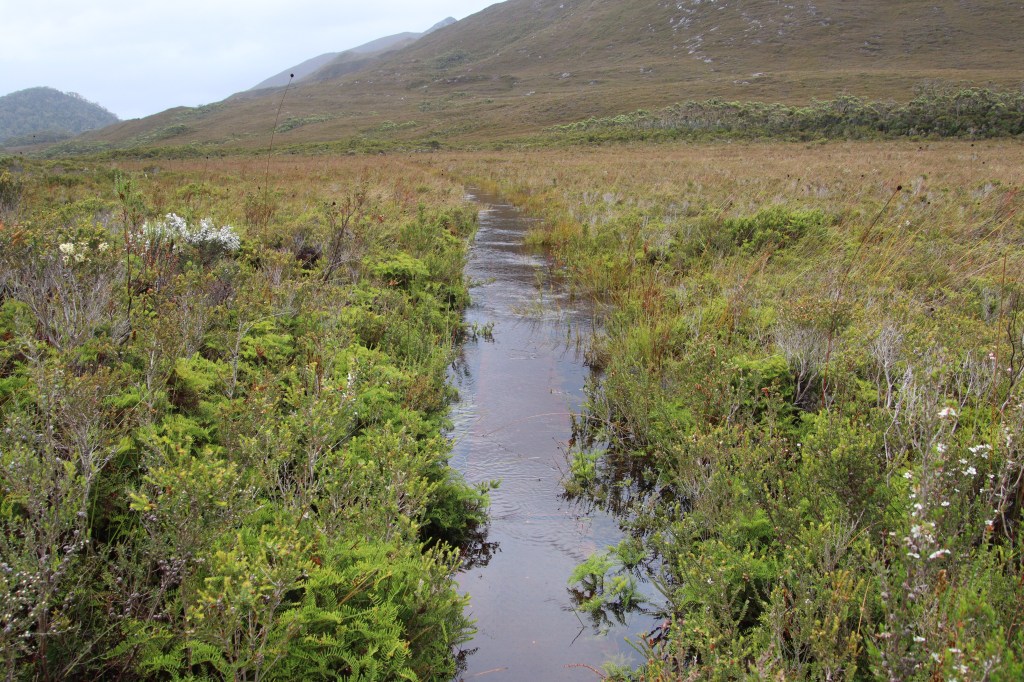 South Coast Track Tasmania