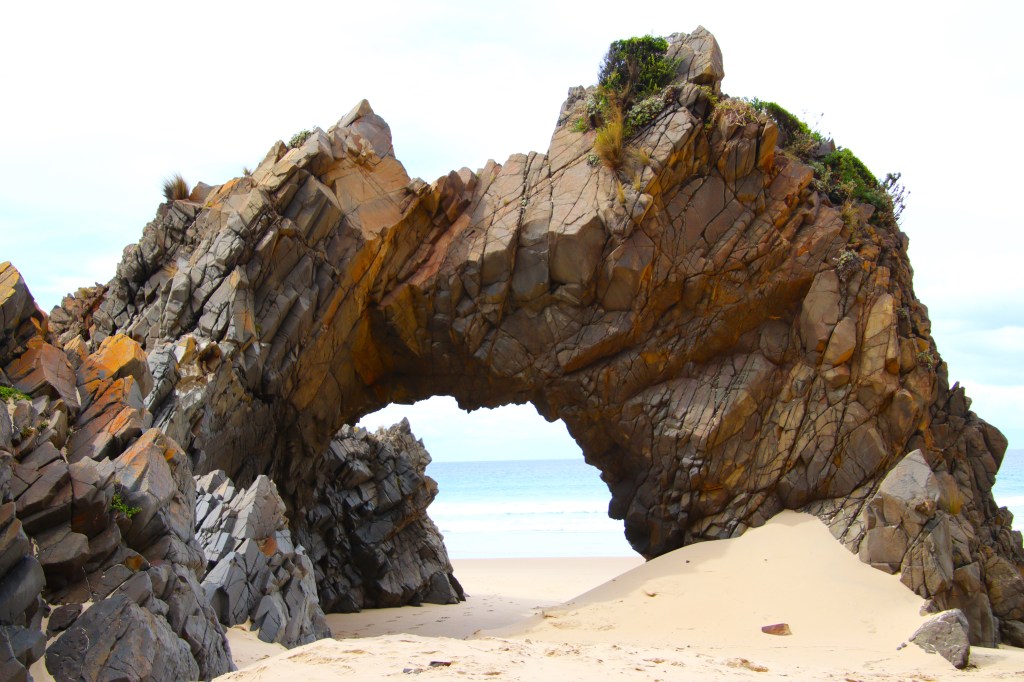 Where to see Mammals Tasmania